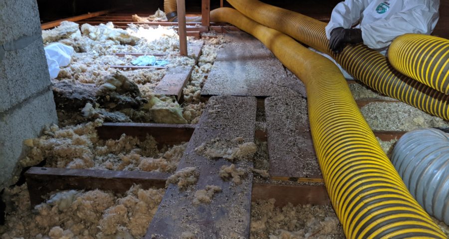 Weatherization technician preparing to remove attic insulation